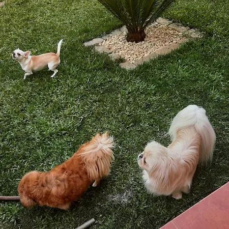 Casa Do Tio Quim Casa de Férias *