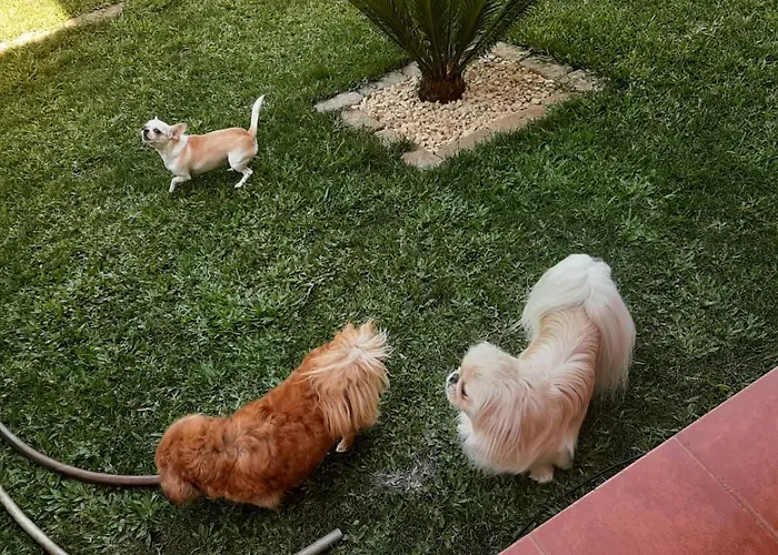 Casa Do Tio Quim Hébergement de vacances *